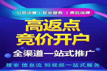 某大型企业选择SEM竞价代运营公司的决策过程与效果评估